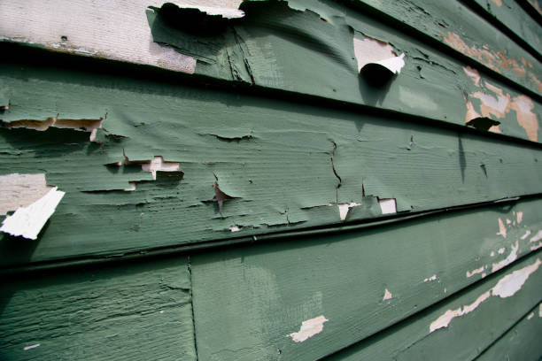  Savannah, GA Junk Removal Pros